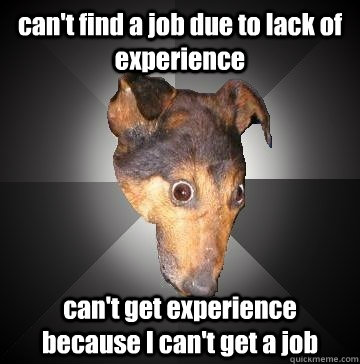 can't find a job due to lack of experience can't get experience because I can't get a job - can't find a job due to lack of experience can't get experience because I can't get a job  Depression Dog