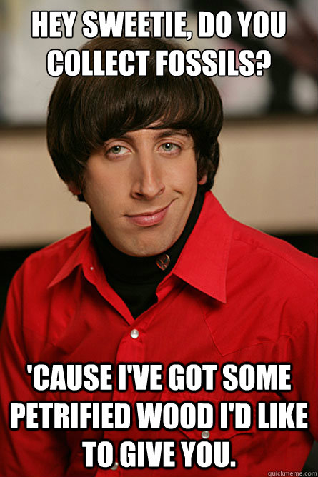 Hey sweetie, do you collect fossils? 'cause I've got some petrified wood I'd like to give you. - Hey sweetie, do you collect fossils? 'cause I've got some petrified wood I'd like to give you.  Pickup Line Scientist