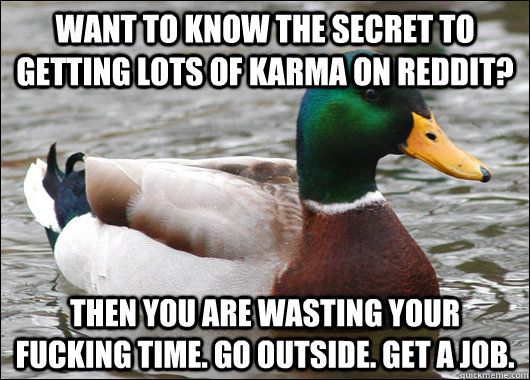 want to know the secret to getting lots of karma on reddit? Then you are wasting your fucking time. go outside. get a job.   Actual Advice Mallard