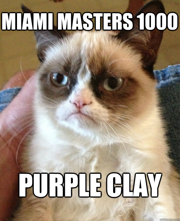 Miami Masters 1000 Purple Clay  Grumpy Cat