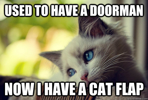 Used to have a doorman now i have a cat flap  First World Problems Cat