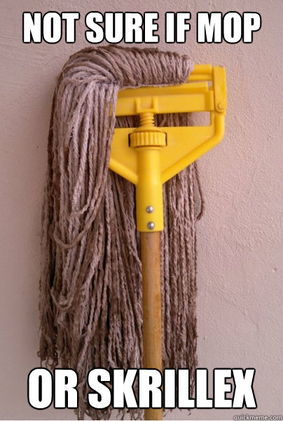 not sure if mop or skrillex  Skrillex Mop