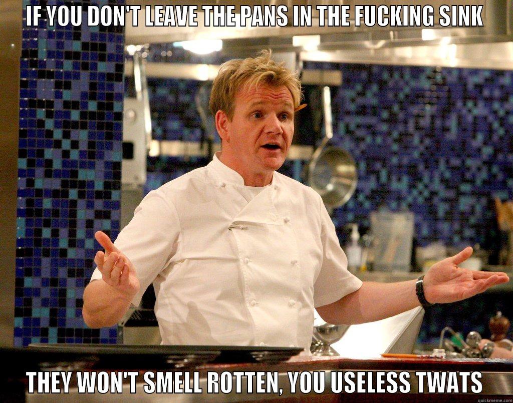 IF YOU DON'T LEAVE THE PANS IN THE FUCKING SINK THEY WON'T SMELL ROTTEN, YOU USELESS TWATS Misc