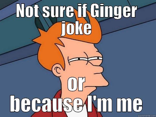NOT SURE IF GINGER JOKE OR BECAUSE I'M ME Futurama Fry
