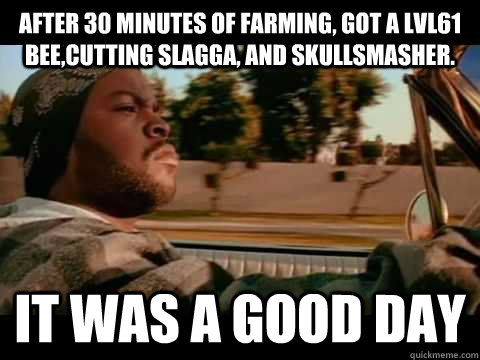After 30 minutes of farming, got a lvl61 bee,cutting slagga, and skullsmasher. IT WAS A GOOD DAY - After 30 minutes of farming, got a lvl61 bee,cutting slagga, and skullsmasher. IT WAS A GOOD DAY  ice cube good day