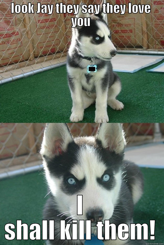 LOOK JAY THEY SAY THEY LOVE YOU I SHALL KILL THEM! Insanity puppy