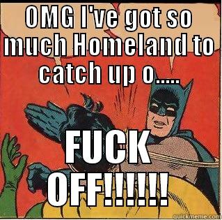 OMG I'VE GOT SO MUCH HOMELAND TO CATCH UP O..... FUCK OFF!!!!!! Slappin Batman
