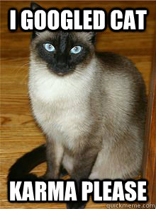 I googled cat karma please  