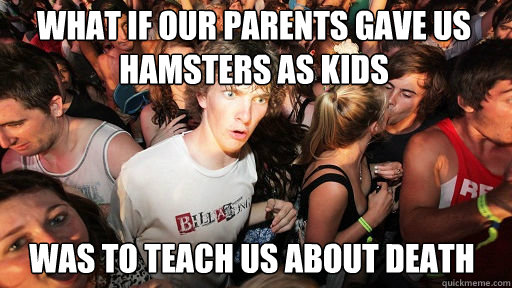 What if our parents gave us hamsters as kids
 Was to teach us about death  Sudden Clarity Clarence