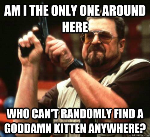 Am i the only one around here who can't randomly find a goddamn kitten anywhere?  Am I The Only One Around Here