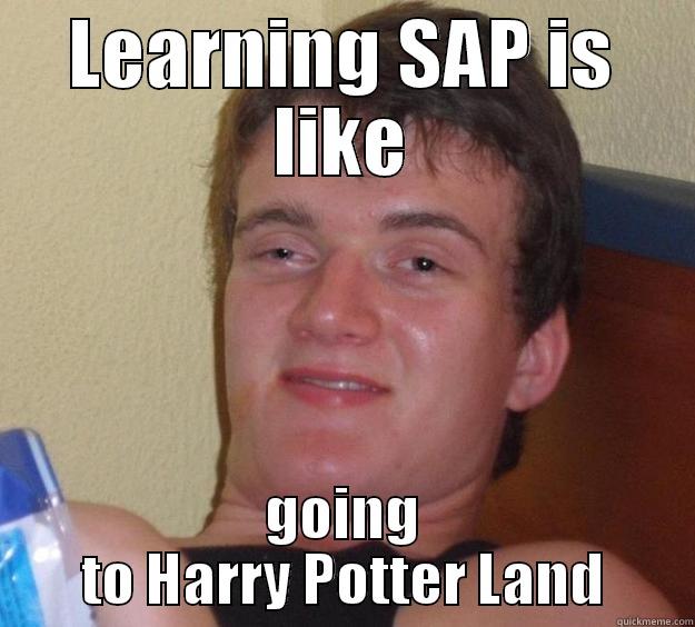 LEARNING SAP IS LIKE GOING TO HARRY POTTER LAND 10 Guy