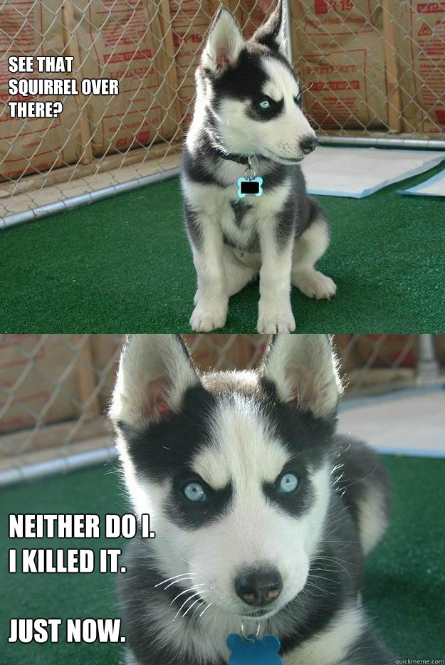 see that 
squirrel over
there? neither do i. 
i killed it. 

just now.  Insanity puppy