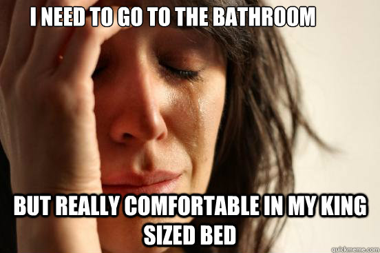 I need to go to the bathroom But really comfortable in my king sized bed  First World Problems