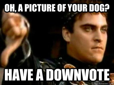 Oh, a picture of your dog? Have a downvote  Downvoting Roman