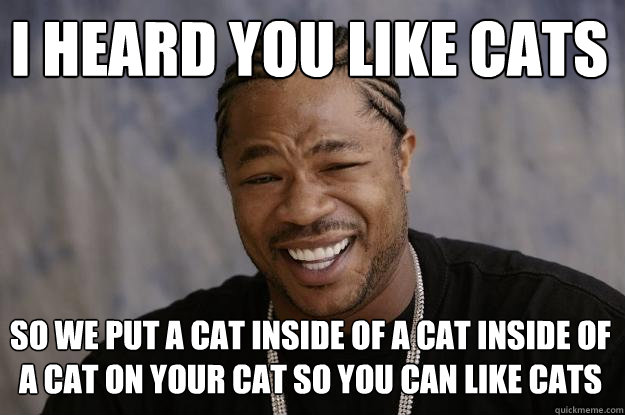 I heard you like cats So we put a cat inside of a cat inside of a cat on your cat so you can like cats  Xzibit meme