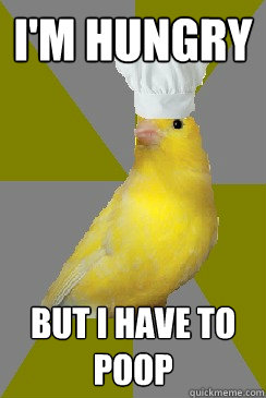 I'm Hungry But I have to poop - I'm Hungry But I have to poop  Culinary Canary