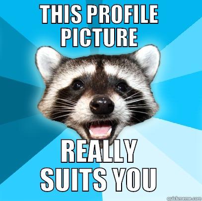 THIS PROFILE PICTURE REALLY SUITS YOU Lame Pun Coon