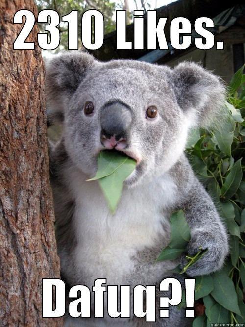Dafuq?! Are you serious? - 2310 LIKES. DAFUQ?! koala bear