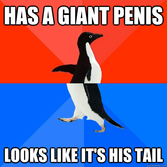 has a giant penis looks like it's his tail  Socially Awesome Awkward Penguin