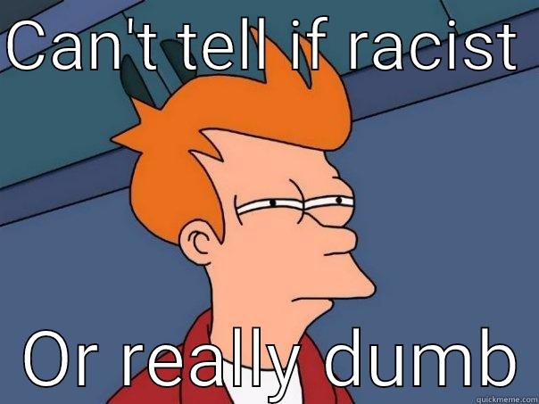 CAN'T TELL IF RACIST    OR REALLY DUMB Futurama Fry
