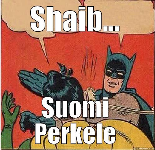 SHAIB... SUOMI PERKELE Batman Slapping Robin