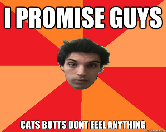 i promise guys cats butts dont feel anything  Idiot WoW player
