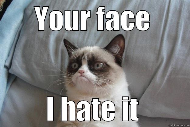 YOUR FACE I HATE IT Grumpy Cat