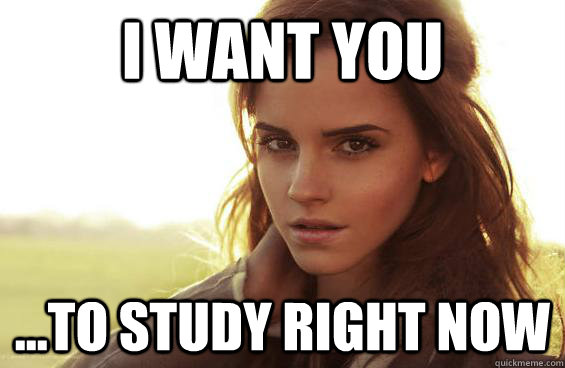 I want you ...to study right now  