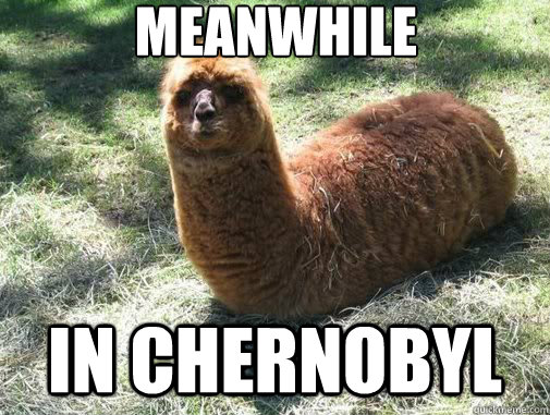 meanwhile in chernobyl  Alpacapillar