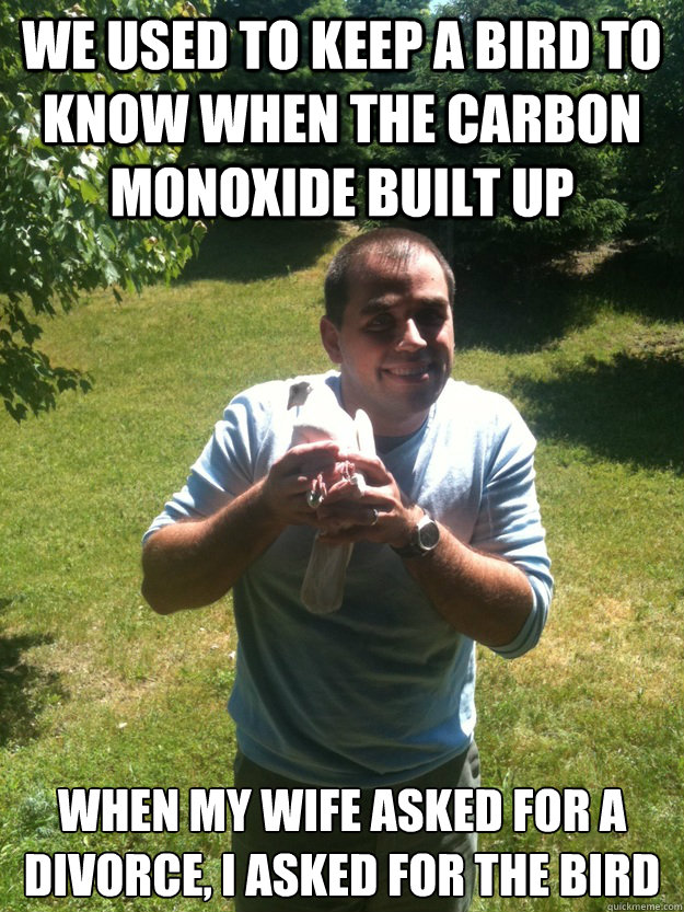 we used to keep a bird to know when the carbon monoxide built up when my wife asked for a divorce, i asked for the bird - we used to keep a bird to know when the carbon monoxide built up when my wife asked for a divorce, i asked for the bird  Eds Bird Talk