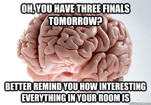 Oh, you have three finals tomorrow? Better remind you how interesting everything in your room is  Scumbag Brain