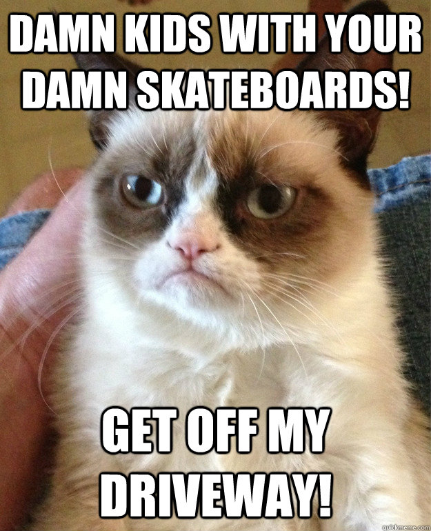Damn kids with your damn skateboards! GET OFF MY DRIVEWAY!  Grumpy Cat