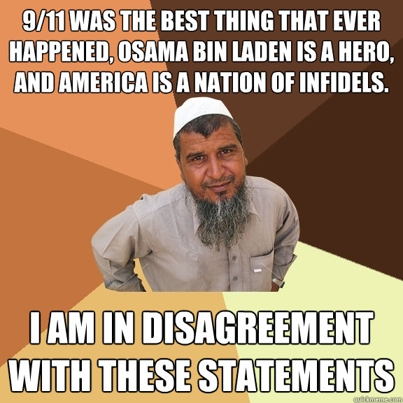 9/11 was the best thing that ever happened, osama bin laden is a hero, and america is a nation of infidels. I am in disagreement with these statements  Ordinary Muslim Man