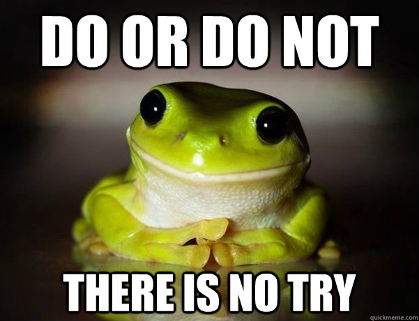 Do or Do not there is no try - Do or Do not there is no try  Fascinated Frog