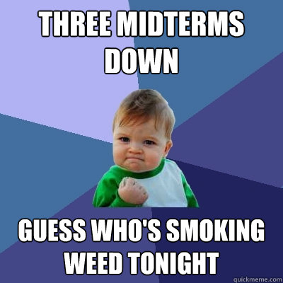 Three midterms down Guess who's smoking weed tonight  Success Kid