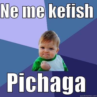 NE ME KEFISH  PICHAGA Success Kid