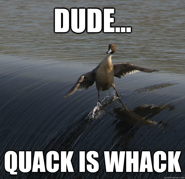 Dude... Quack is Whack - Dude... Quack is Whack  Dude Duck