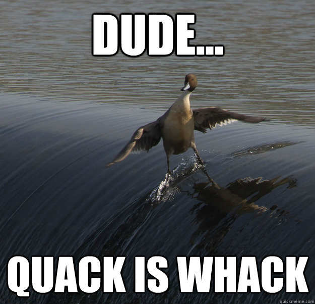 Dude... Quack is Whack  Dude Duck