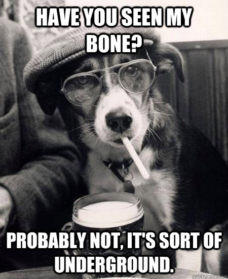 Have you seen my bone? Probably not, it's sort of underground. - Have you seen my bone? Probably not, it's sort of underground.  Hipster Dog