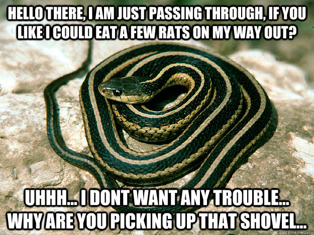 Misunderstood Snake memes | quickmeme