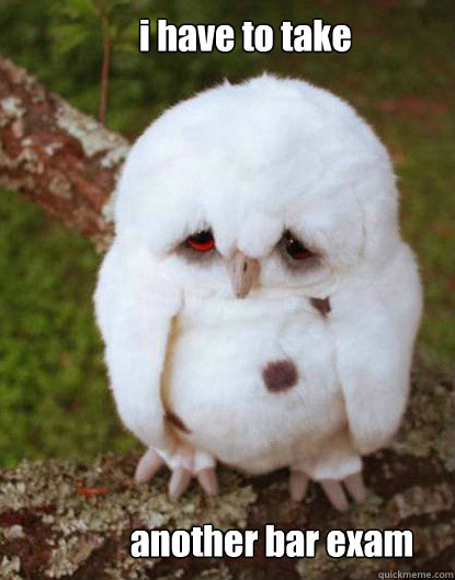 i have to take another bar exam  Depressed Baby Owl
