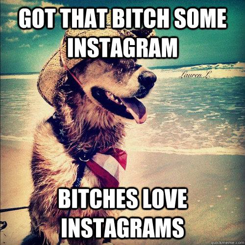 Got that bitch some instagram bitches love instagrams  Instagram Dog