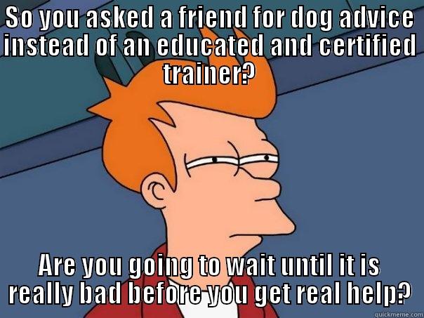 SO YOU ASKED A FRIEND FOR DOG ADVICE INSTEAD OF AN EDUCATED AND CERTIFIED TRAINER? ARE YOU GOING TO WAIT UNTIL IT IS REALLY BAD BEFORE YOU GET REAL HELP? Futurama Fry