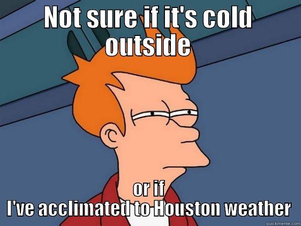 houston weather - NOT SURE IF IT'S COLD OUTSIDE OR IF I'VE ACCLIMATED TO HOUSTON WEATHER Futurama Fry