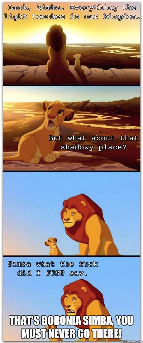  That's Boronia Simba, you must never go there! -  That's Boronia Simba, you must never go there!  If the Lion King was rated R