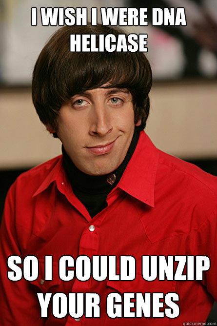 I wish I were DNA helicase So I could unzip your genes - I wish I were DNA helicase So I could unzip your genes  Pickup Line Scientist