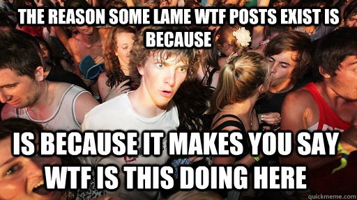 The reason some lame WTF posts exist is because is because it makes you say WTF is this doing here  Sudden Clarity Clarence
