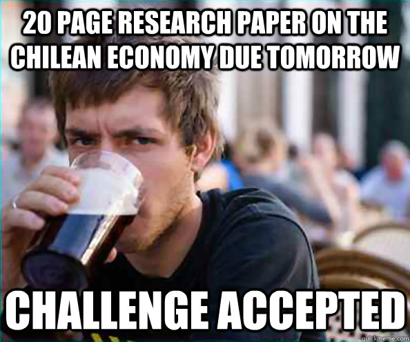 20 page research paper on the chilean economy due tomorrow challenge accepted  Lazy College Senior