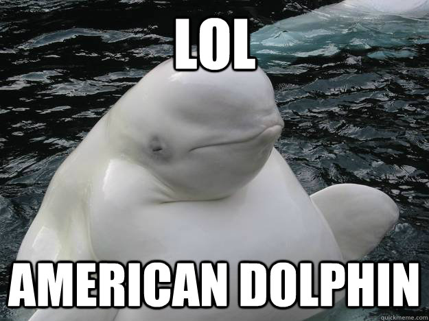 lol american dolphin - lol american dolphin  american dolphin