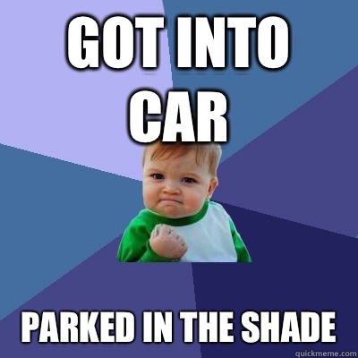 Got into car Parked in the shade   Success Kid